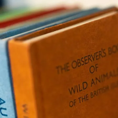 The Snug 'keswick' Keswick (Cumbria)