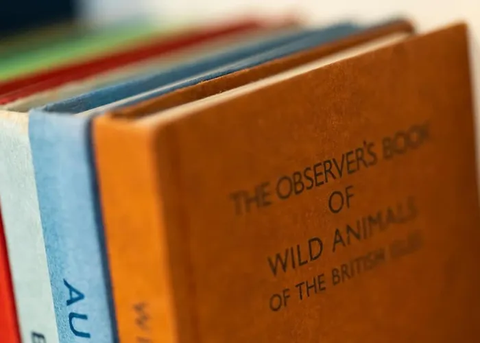 度假居 The Snug 'keswick' 凯西克