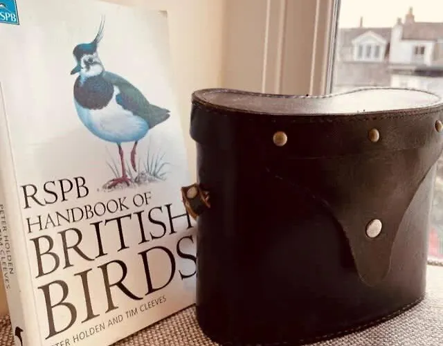 The Snug 'keswick' 凯西克